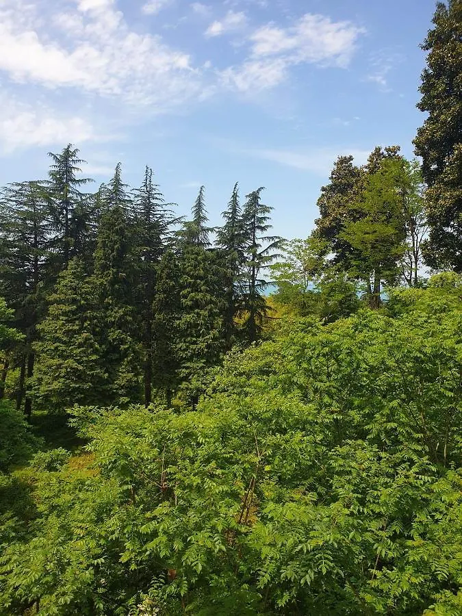 Guest house Green Paradise Batumi
